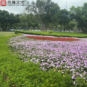 二人世界高清视频播放
